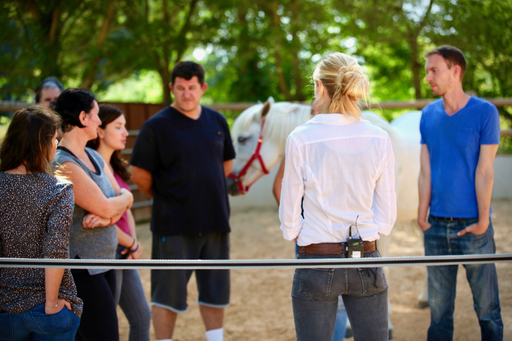 Equicoaching,coaching par le cheval - Rise-Up Equicoaching, Montpellier