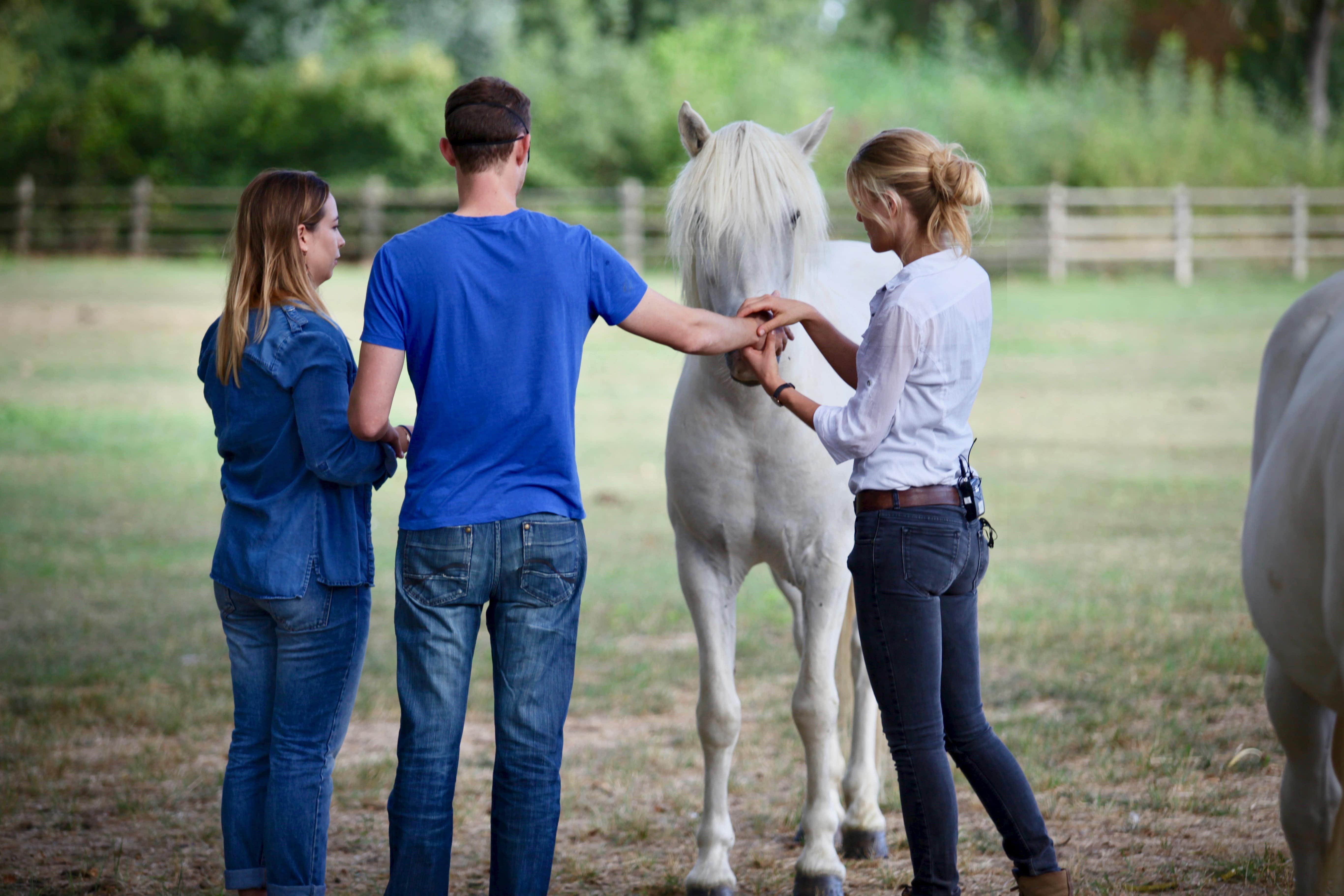 Equicoaching,coaching par le cheval - Rise-Up Equicoaching, Montpellier