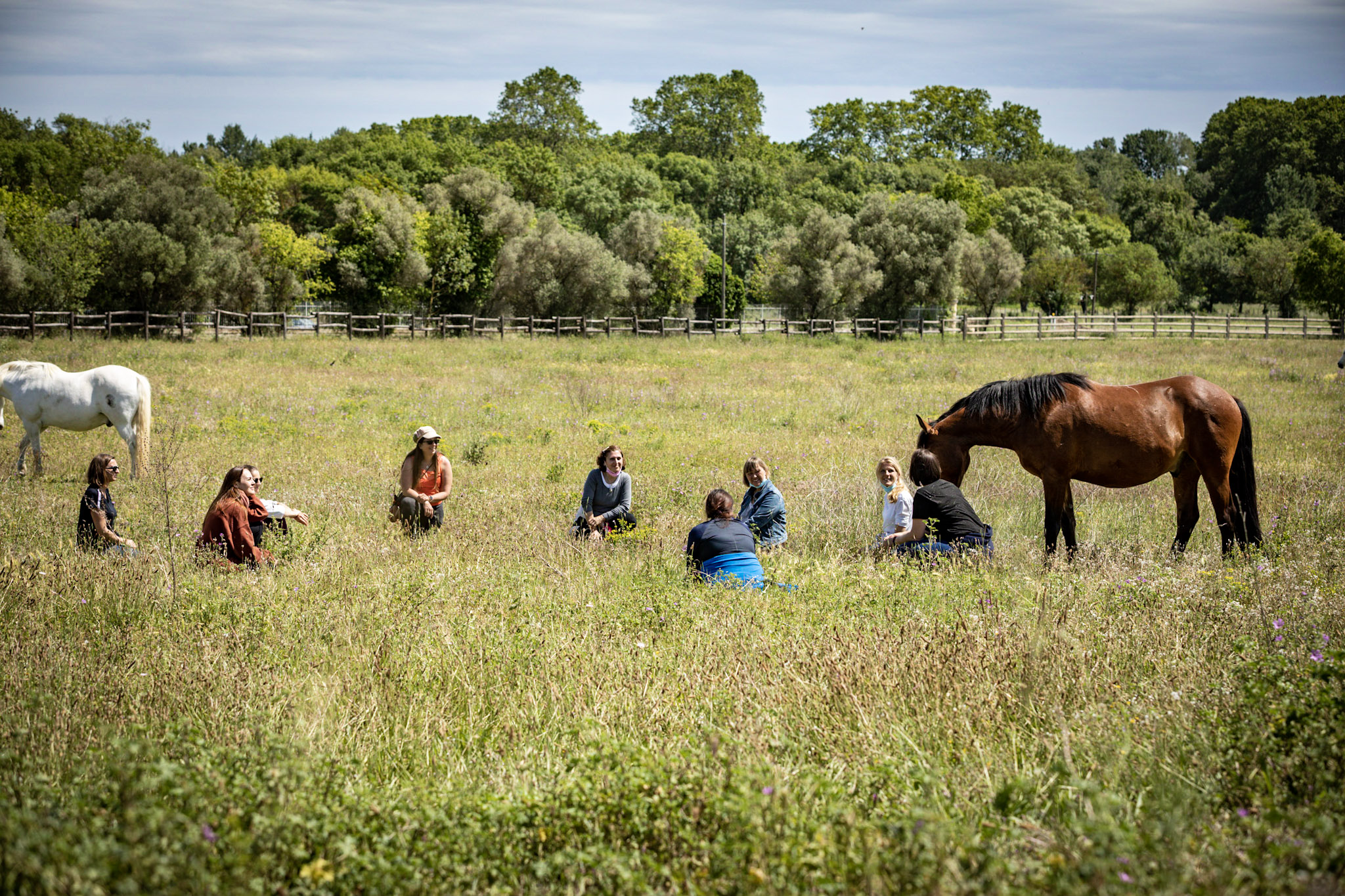 Equicoaching Initiative Equi-Experience Solidaire