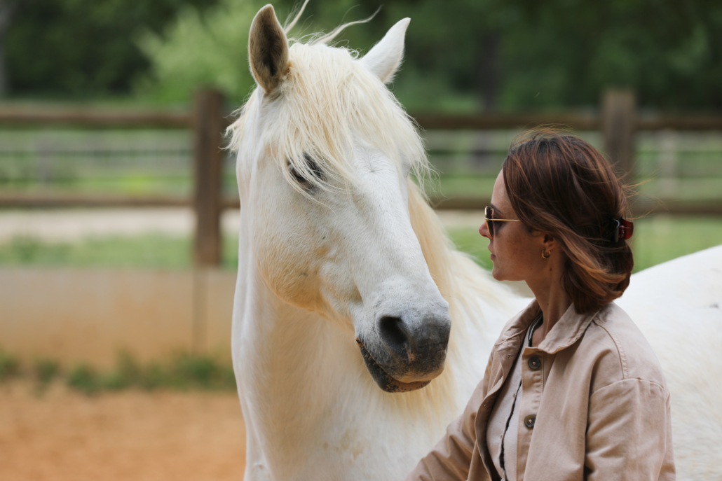 se former à l'equicoaching