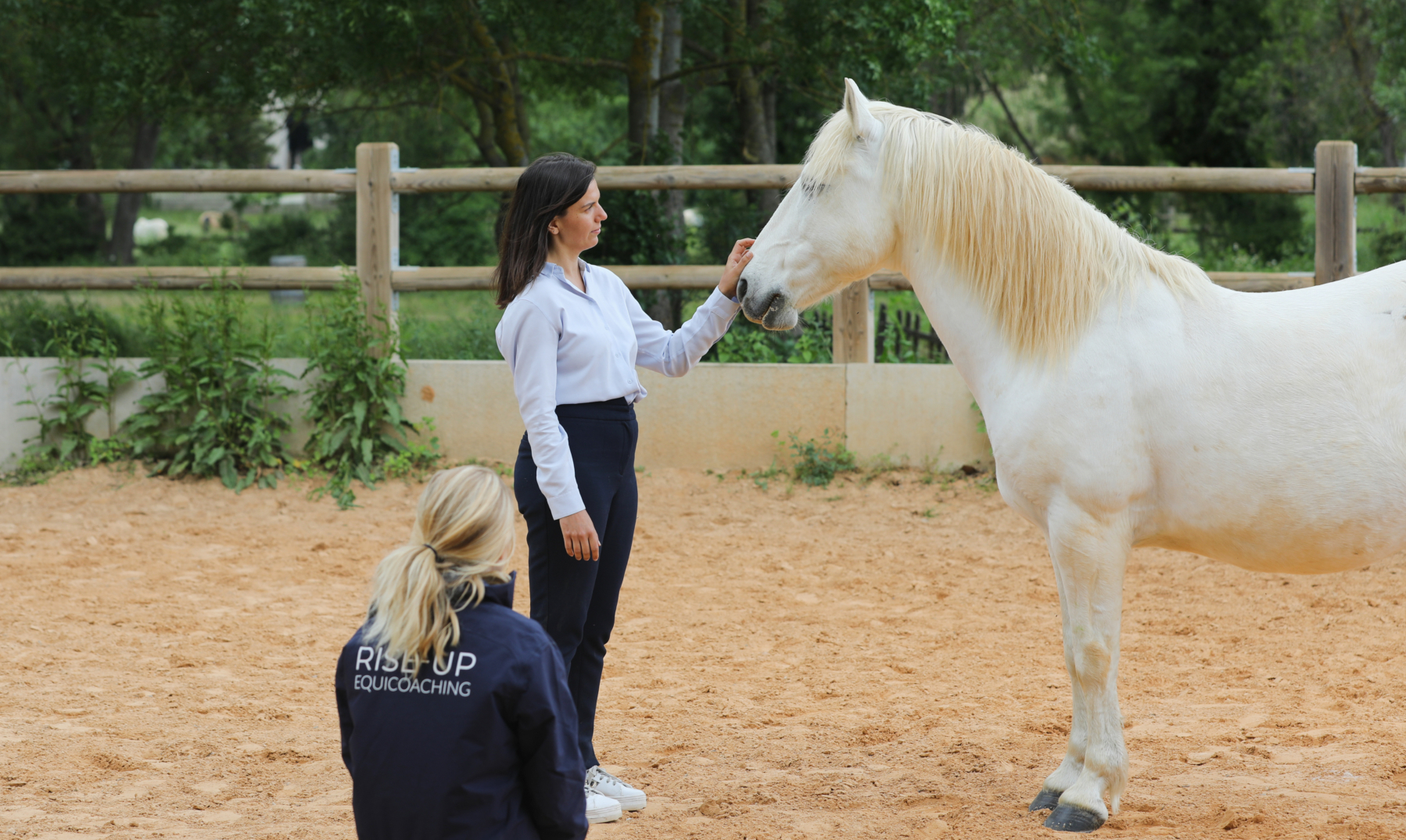 FORMATION se former à l'equicoaching